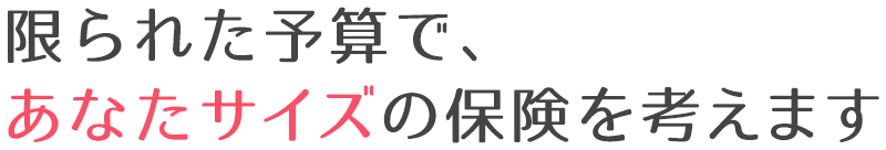 限られた予算で、あなたサイズの保険を考えます